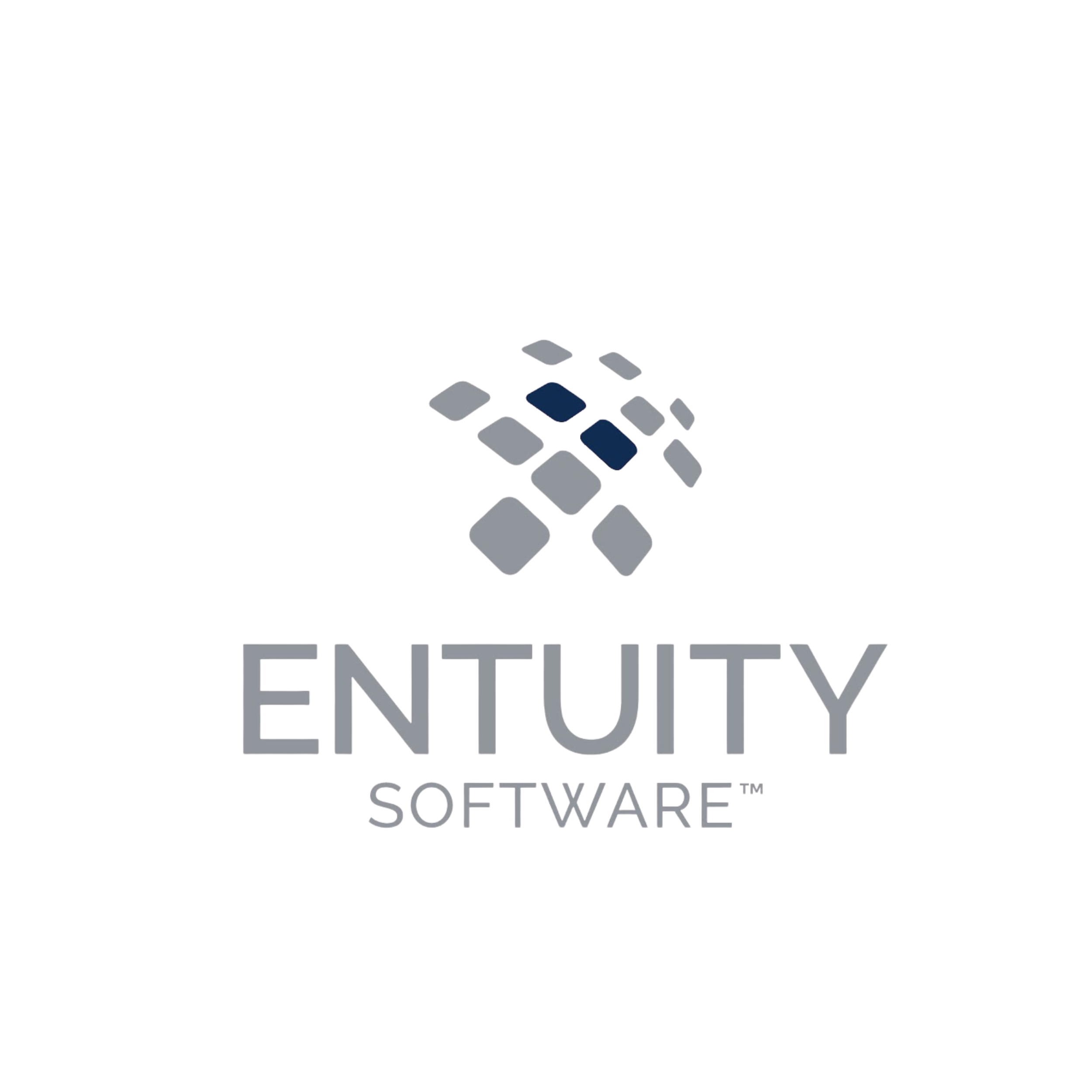 Entuity logo