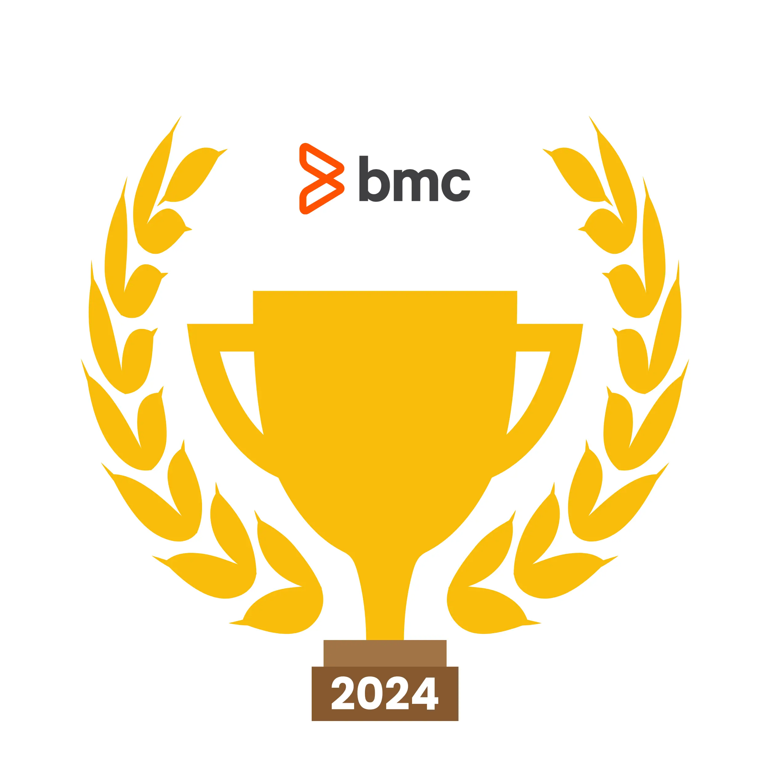 DSOM Partner of the Year 2024 Award