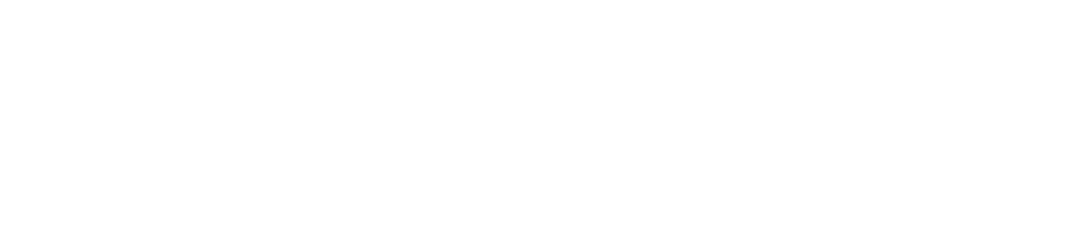Indian Overseas Bank logo